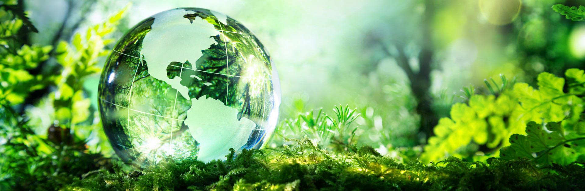 Environnement