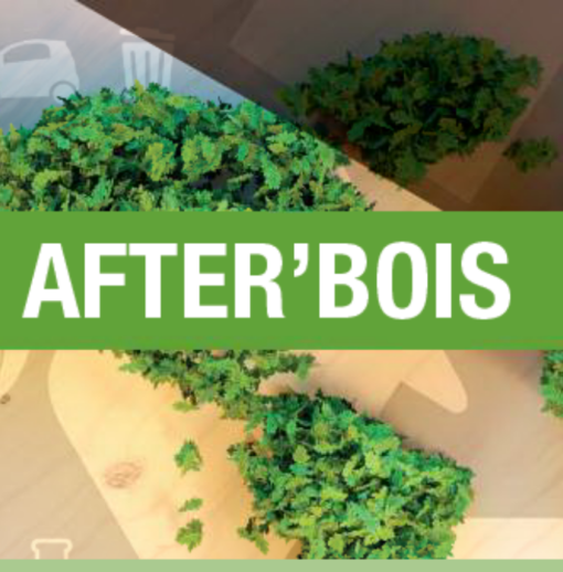 After’bois Chimie Verte reprogrammée en webinaire
