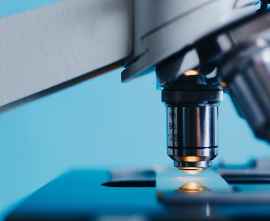 Synthèse de bioconjugués amphiphiles biosourcés issus de xylanes et dérivés d’acides gras