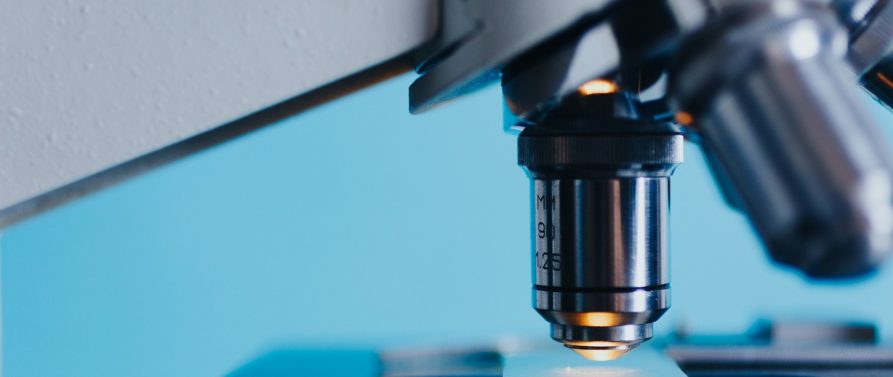 Synthèse de bioconjugués amphiphiles biosourcés issus de xylanes et dérivés d’acides gras