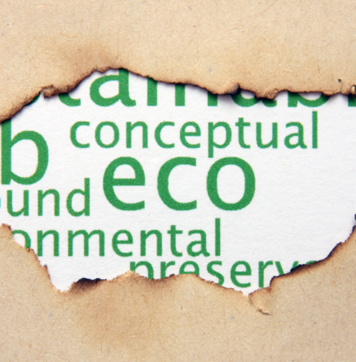 Webinaire Environnement : enjeux et implications – 10/12/2020