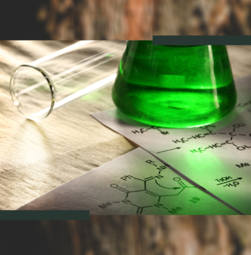 Webinaire : Devenez un acteur de la chimie du bois – 14 janvier 2021
