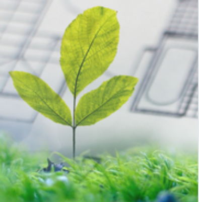 Replay webinaire Environnement