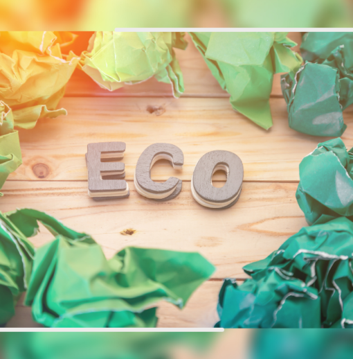 L’éco-conception au cœur des enjeux de transition écologique