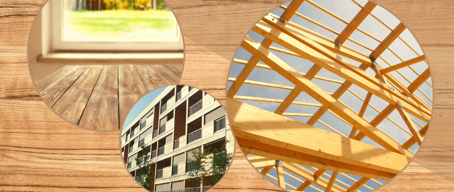 Newsletter 2de transformation et Construction – Novembre 2024