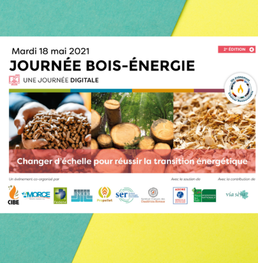 Journée Bois Énergie : changer d’échelle pour réussir la transition énergétique
