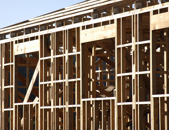 Innovative methodology for the non-destructive evaluation of timber frame walls by SCAN