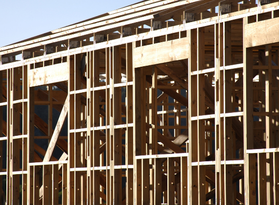 Innovative methodology for the non-destructive evaluation of timber frame walls by SCAN
