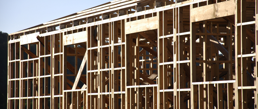 Innovative methodology for the non-destructive evaluation of timber frame walls by SCAN