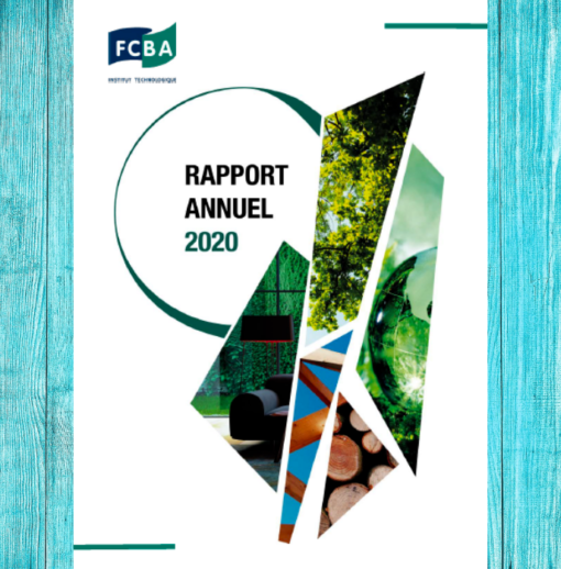 Le nouveau rapport annuel 2020 est en ligne !