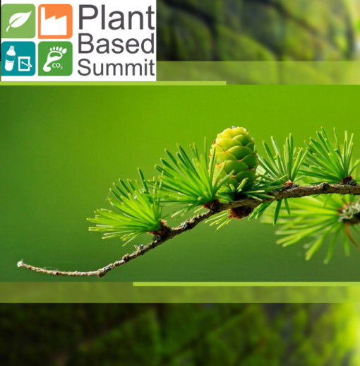 Plant Based Summit du 22 au 24 septembre