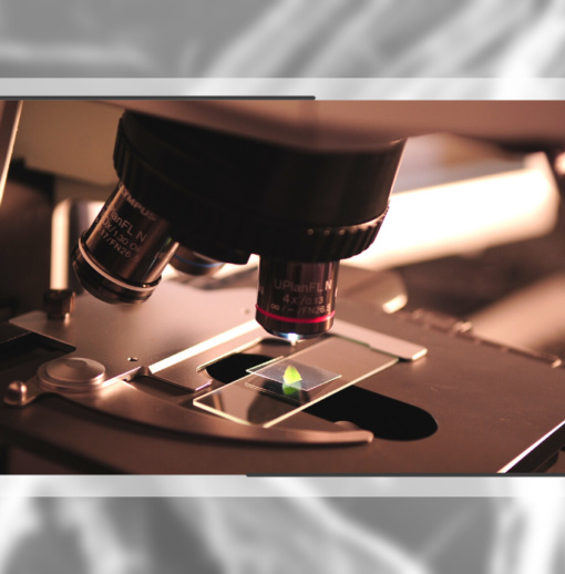 La macro et la microscopie pour vous aider au quotidien