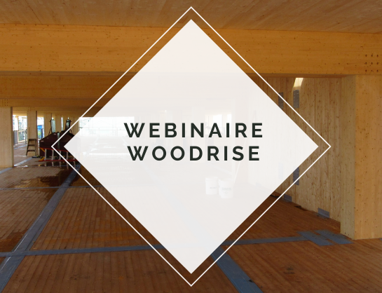 Woodrise Webinar Replay – Seismic Risk and Structural Strength