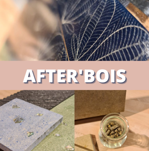 AFTER’BOIS : Materials innovations « Biom / Capturing life » – 2 & 3 march