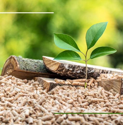 AMI Granulés de biomasse traités thermiquement prioritairement issus de déchets de bois