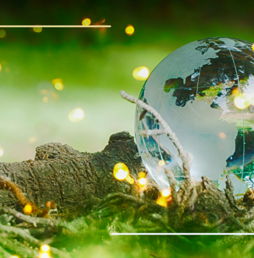 Affichage environnemental : qu’en pense l’Europe ?