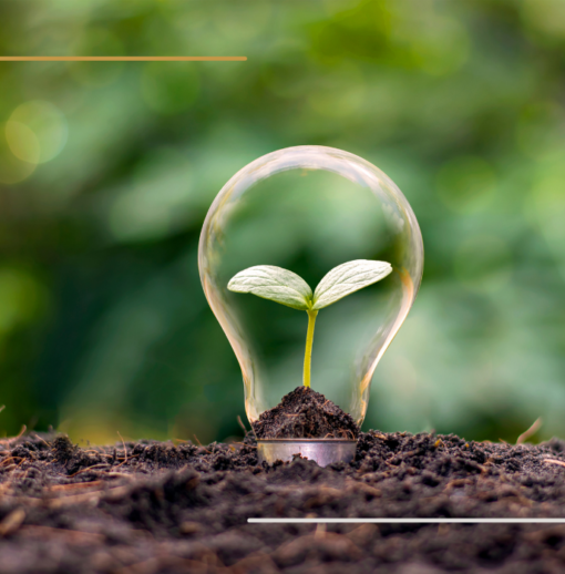 AMI Transition écologique et valorisation économique