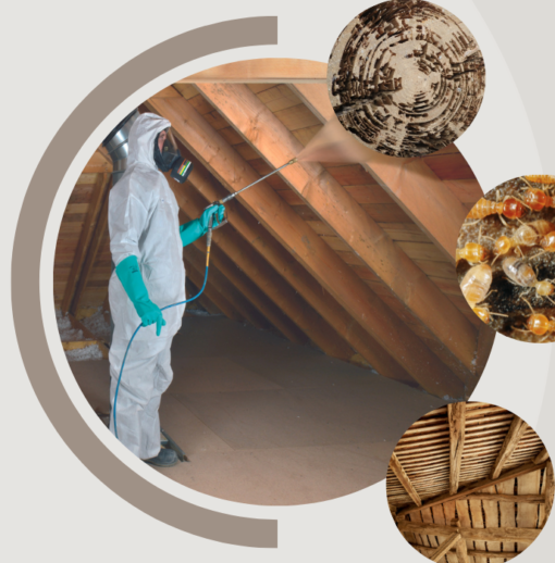 Wood treatment in the building industry on 9 and 10 May 2022
