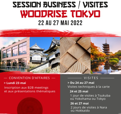 Woodrise Japan 2021 – 2022 – Webinar Replay