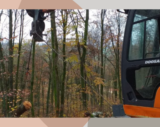 Testimony of Établissements Vigneau: from project to field validation