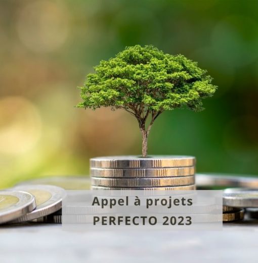 Call for projects PERFECTO 2023