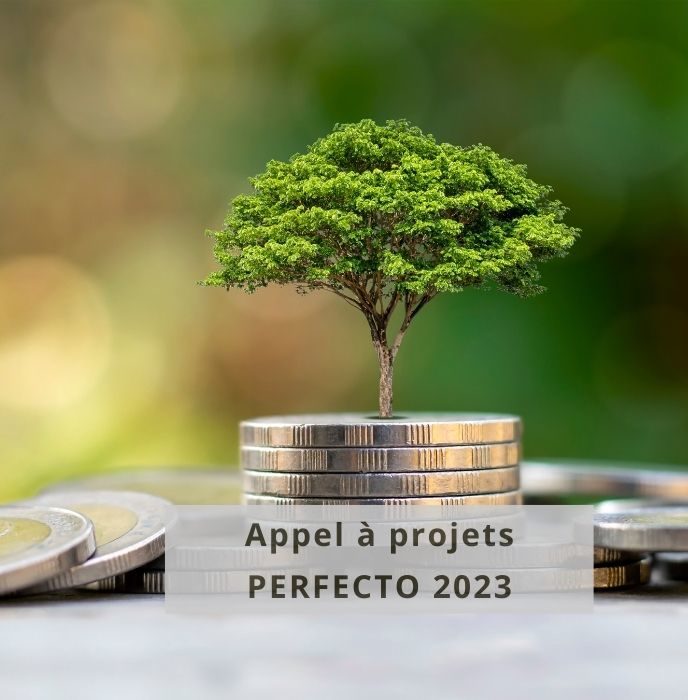 Call for projects PERFECTO 2023