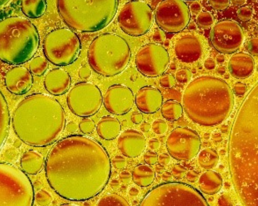 Tensioactif biosourcé : Remplacer des tensioactifs par des particules de bois dans les émulsions ? C'est possible !
