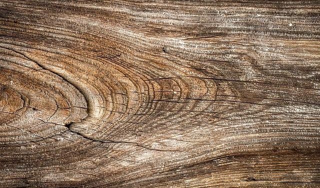 Traitement chimique du bois massif pour modification de couleur du duramen   Modifier la couleur du bois de cœur ? C’est possible !