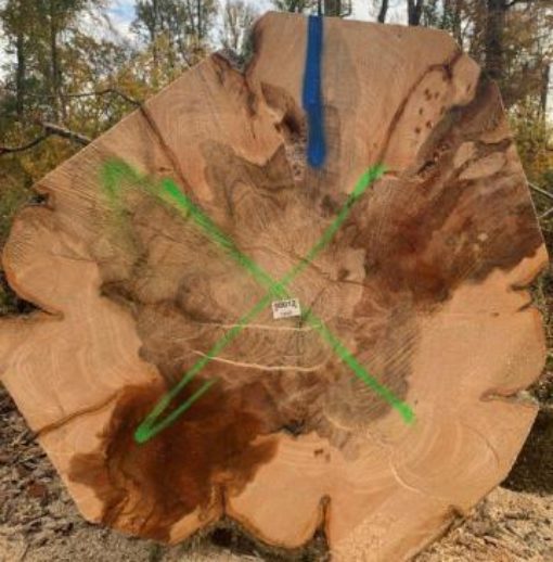 Characterisation of products from dying beech trees (Valher)