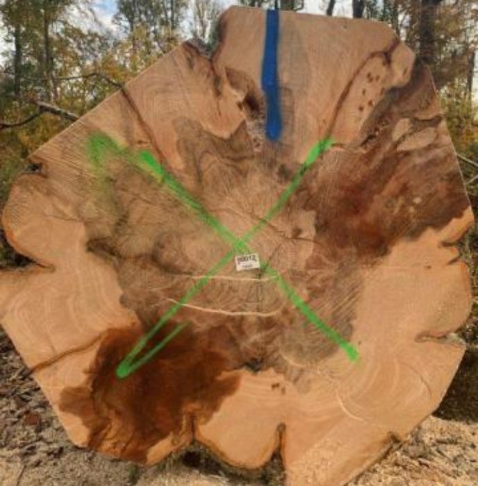 Characterisation of products from dying beech trees (Valher)