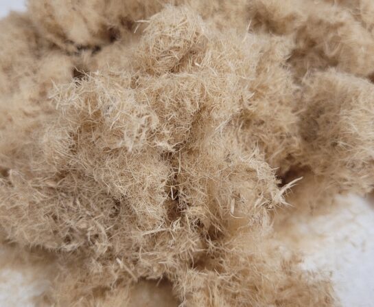 Analyses morphologiques de fibres