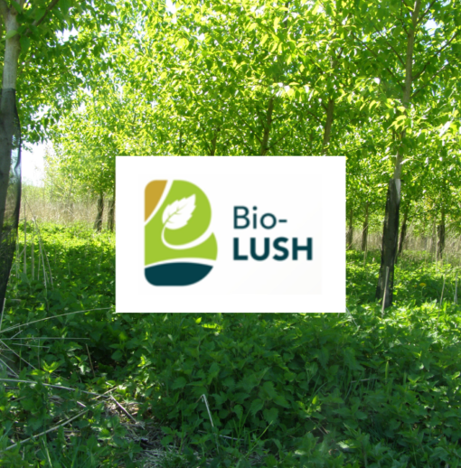 Assemblée générale du projet Bio-Lush à FCBA Grenoble