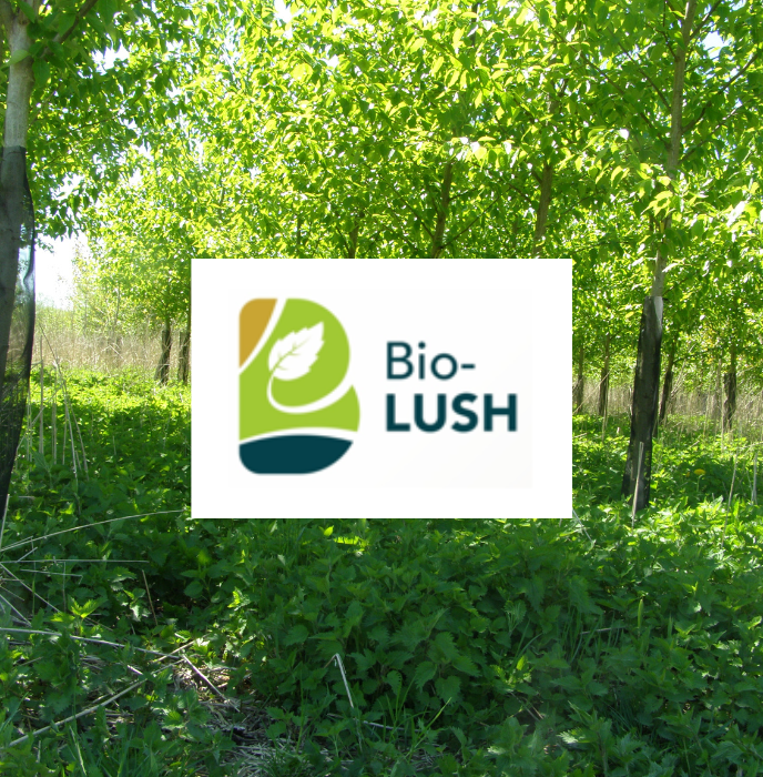 Assemblée générale du projet Bio-Lush à FCBA Grenoble
