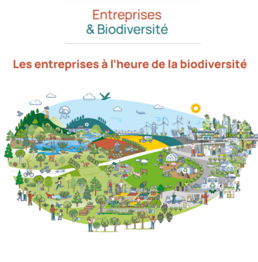Nouvelle plateforme Entreprises & Biodiversité